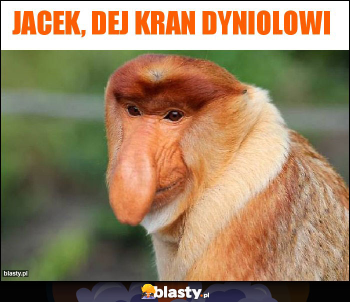 Jacek, Dej kran dyniolowi Jacek, Dej kran dyniolowi