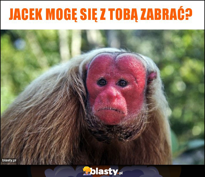 Jacek mogę się z tobą zabrać? Jacek mogę się z tobą zabrać?