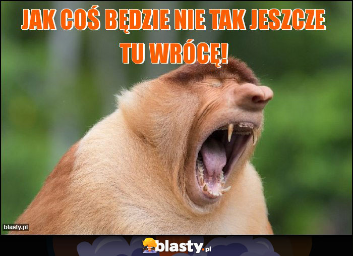 Jak coś będzie nie tak jeszcze tu wrócę! Jak coś będzie nie tak jeszcze tu wrócę!