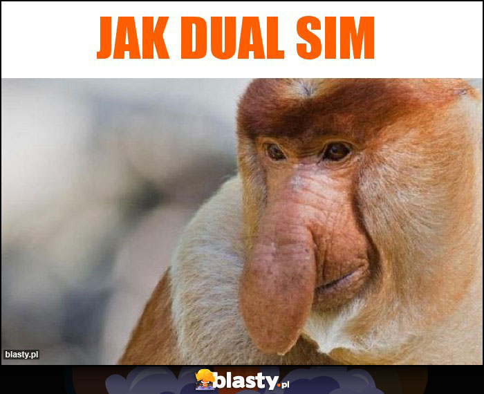 JAK DUAL SIM JAK DUAL SIM