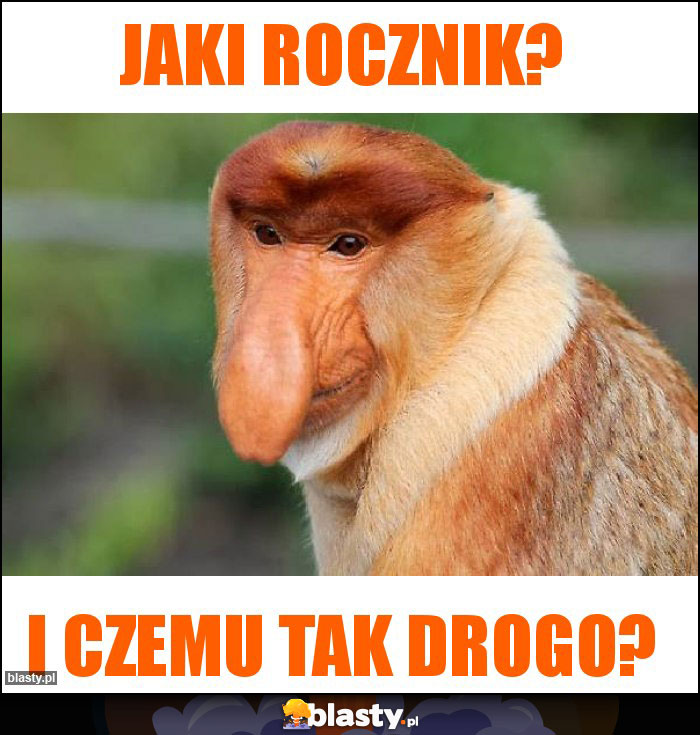 Jaki rocznik?