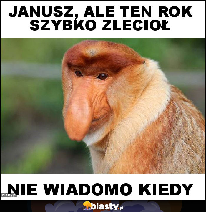 JANUSZ, ALE TEN ROK SZYBKO ZLECIOŁ JANUSZ, ALE TEN ROK SZYBKO ZLECIOŁ