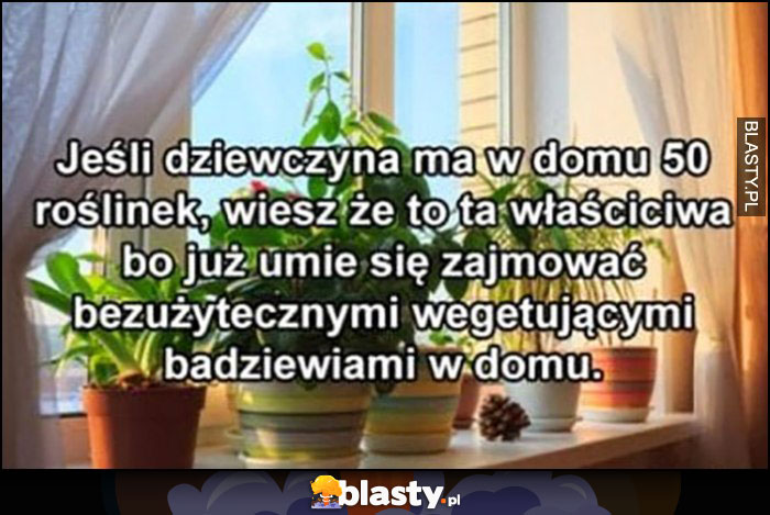 Jeśli dziewczyna ma w domu 50 roślinek wiesz, że to ta właściwa bo już umie się zajmować bezużytecznymi wegetującymi badziewiami w domu