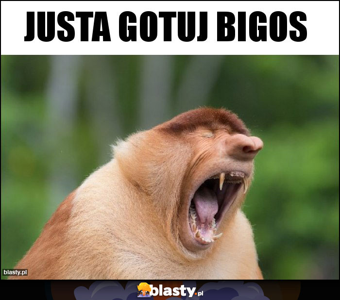 Justa gotuj bigos Justa gotuj bigos