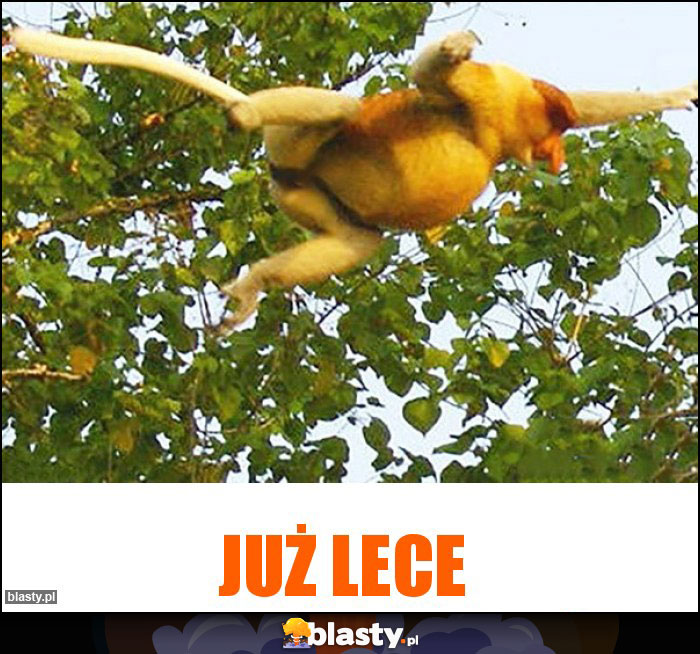 Już lece