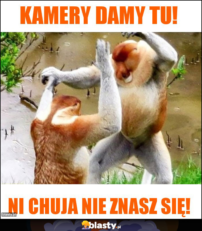 Kamery damy tu! Kamery damy tu!
