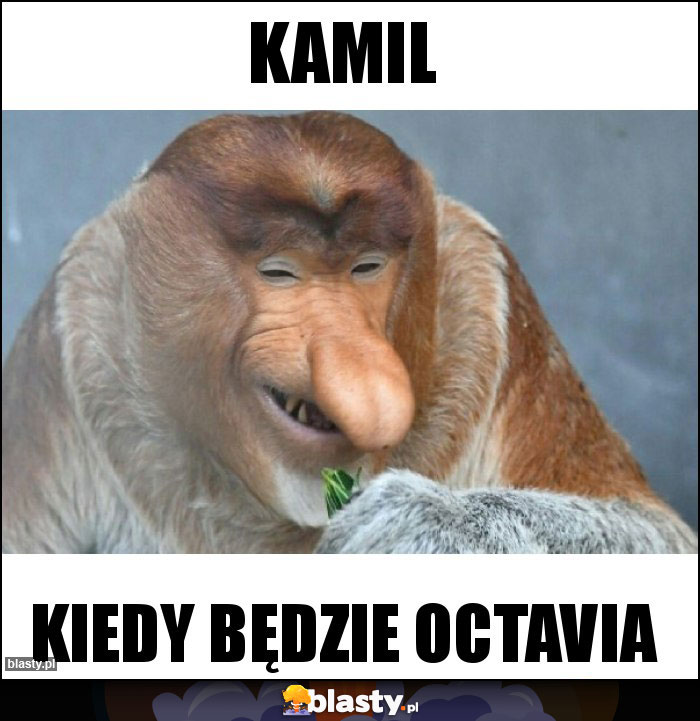 Kamil