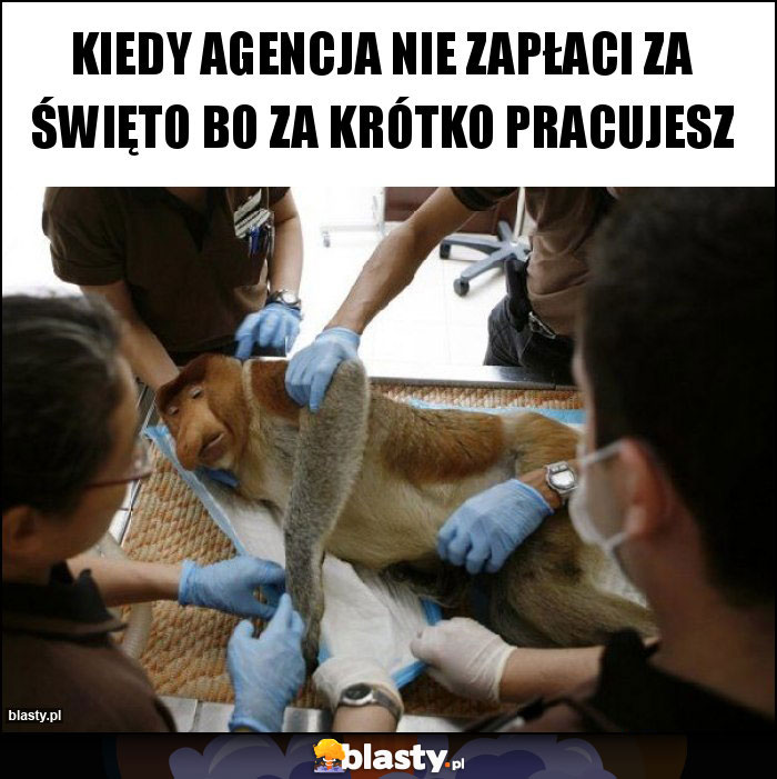 Kiedy agencja nie zapłaci za święto bo za krótko pracujesz Kiedy agencja nie zapłaci za święto bo za krótko pracujesz