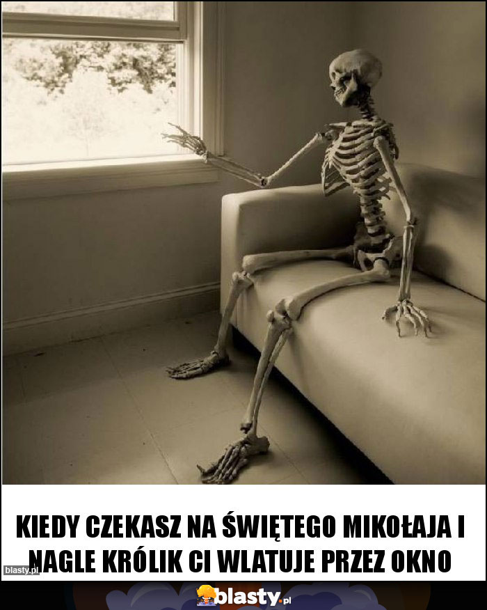 kiedy czekasz na świętego Mikołaja i nagle królik ci wlatuje przez okno kiedy czekasz na świętego Mikołaja i nagle królik ci wlatuje przez okno