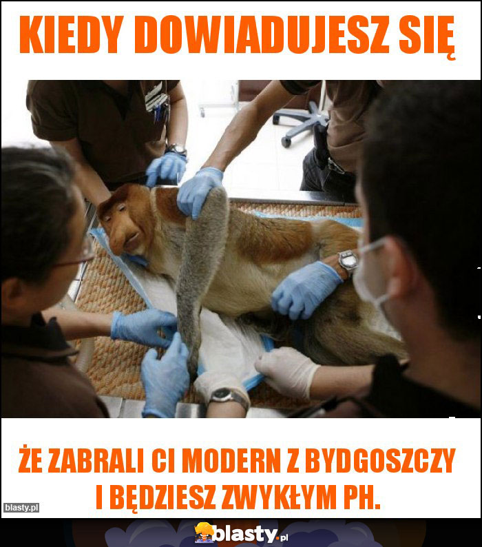 Kiedy dowiadujesz się Kiedy dowiadujesz się