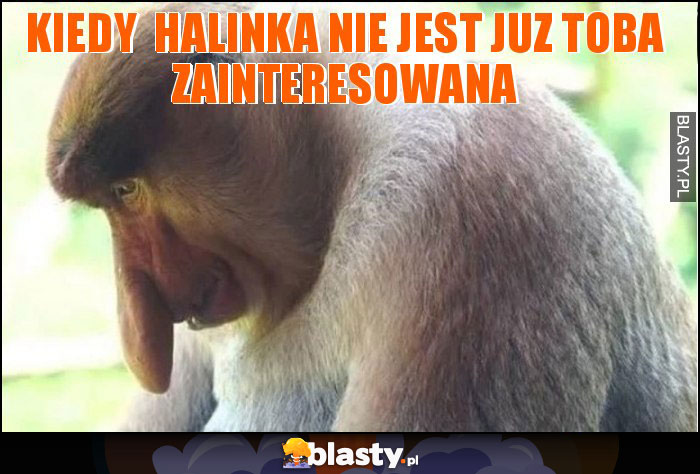 KIEDY HALINKA NIE JEST JUZ TOBA ZAINTERESOWANA KIEDY HALINKA NIE JEST JUZ TOBA ZAINTERESOWANA