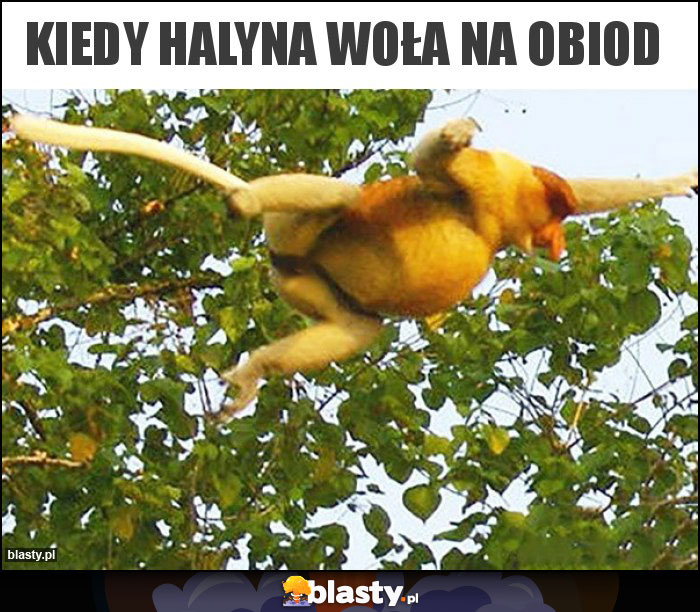 Kiedy halyna woła na obiod Kiedy halyna woła na obiod