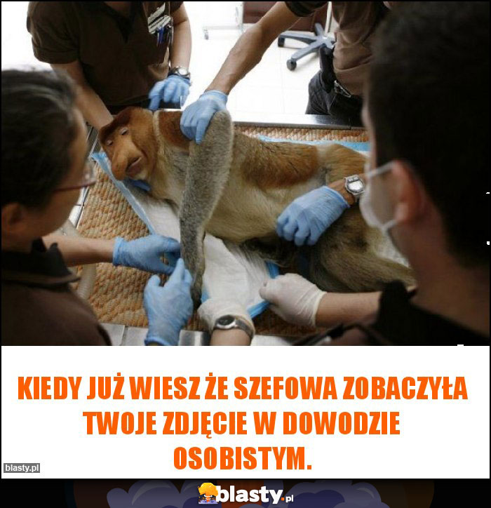 Kiedy już wiesz że szefowa zobaczyła Twoje zdjęcie w dowodzie osobistym. Kiedy już wiesz że szefowa zobaczyła Twoje zdjęcie w dowodzie osobistym.