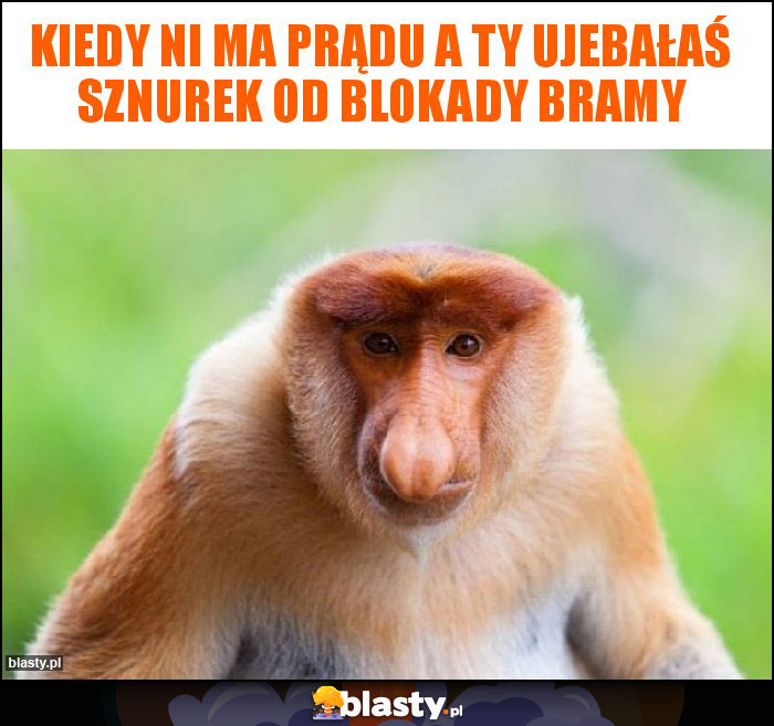 kiedy ni ma prądu a Ty ujebałaś sznurek od blokady bramy