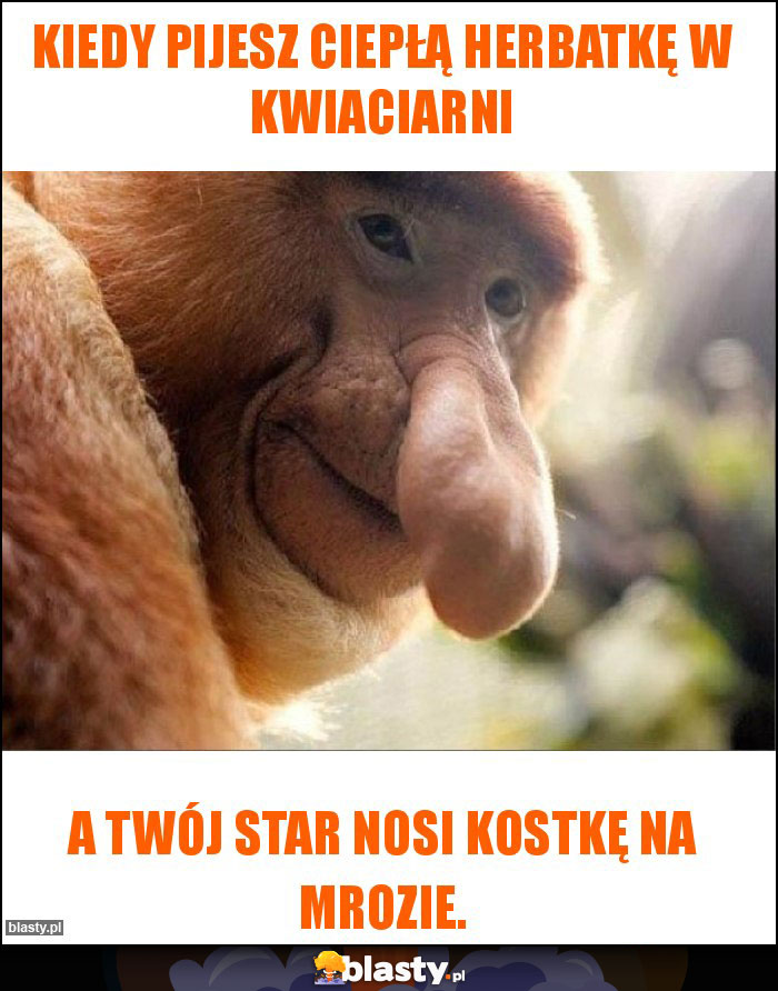 Kiedy pijesz ciepłą herbatkę w kwiaciarni