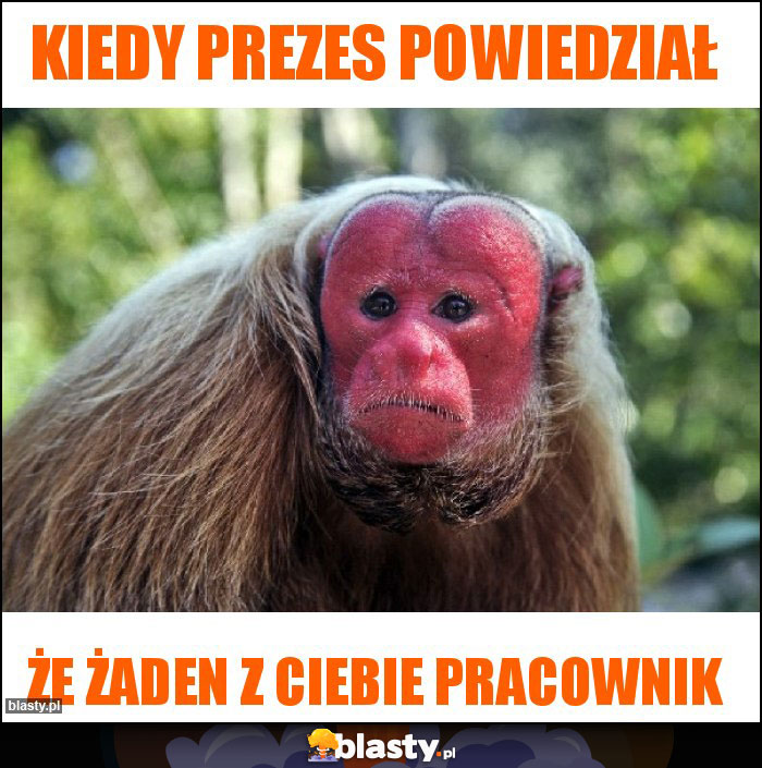 Kiedy prezes powiedział Kiedy prezes powiedział