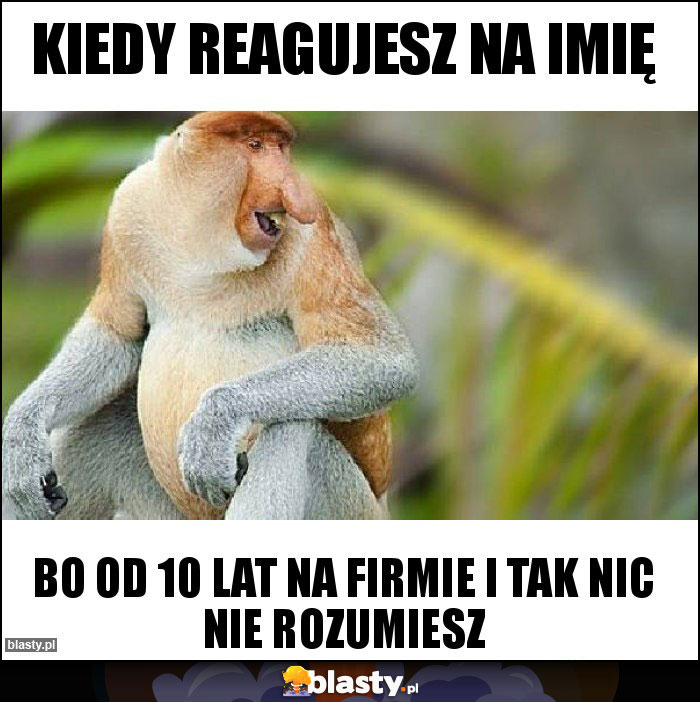 Kiedy reagujesz na imię Kiedy reagujesz na imię
