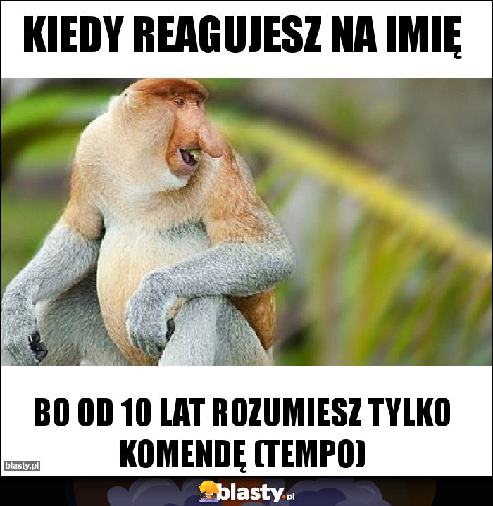 Kiedy reagujesz na imię Kiedy reagujesz na imię