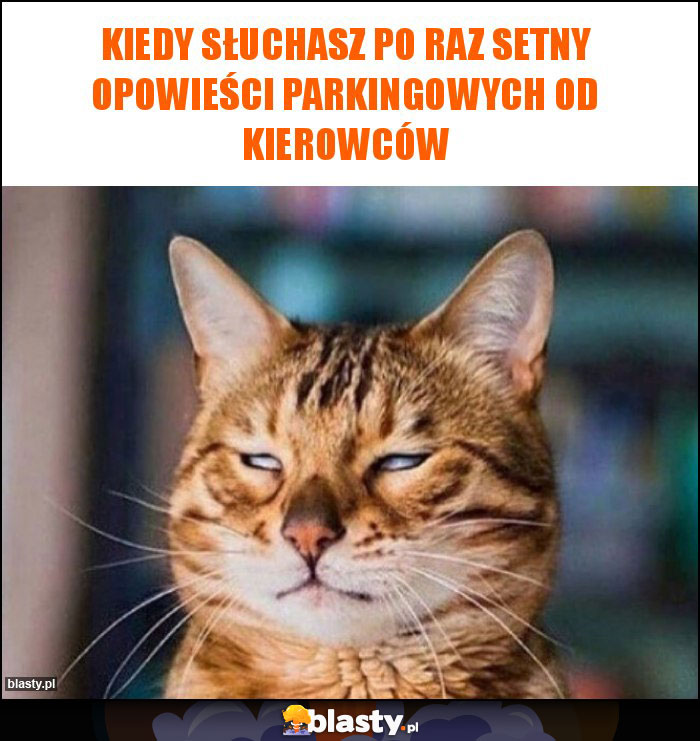 Kiedy słuchasz po raz setny opowieści parkingowych od kierowców Kiedy słuchasz po raz setny opowieści parkingowych od kierowców