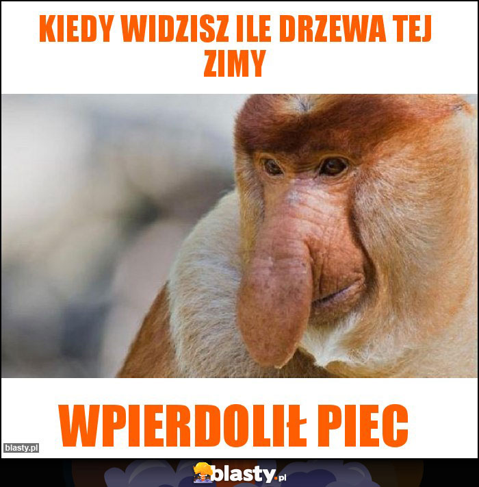 Kiedy widzisz ile drzewa tej zimy Kiedy widzisz ile drzewa tej zimy