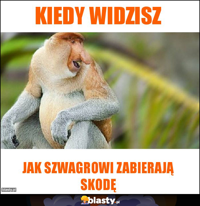 Kiedy widzisz Kiedy widzisz