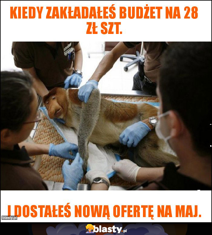 Kiedy zakładałeś budżet na 28 zł szt. Kiedy zakładałeś budżet na 28 zł szt.