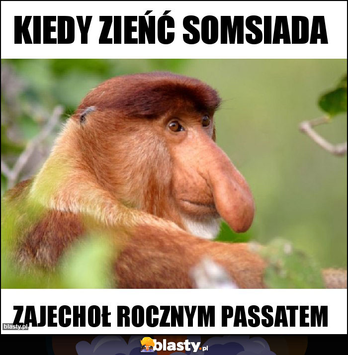 Kiedy zieńć somsiada Kiedy zieńć somsiada