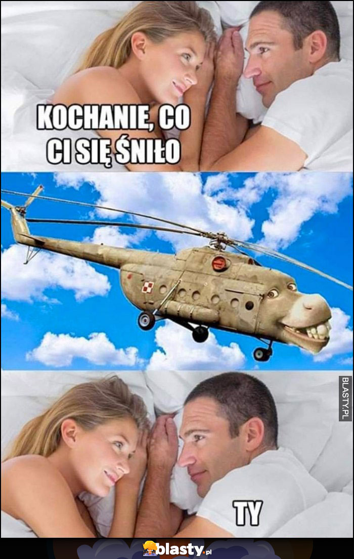 Kochanie co co się śniło? Ty helikopter osioł ze Shreka