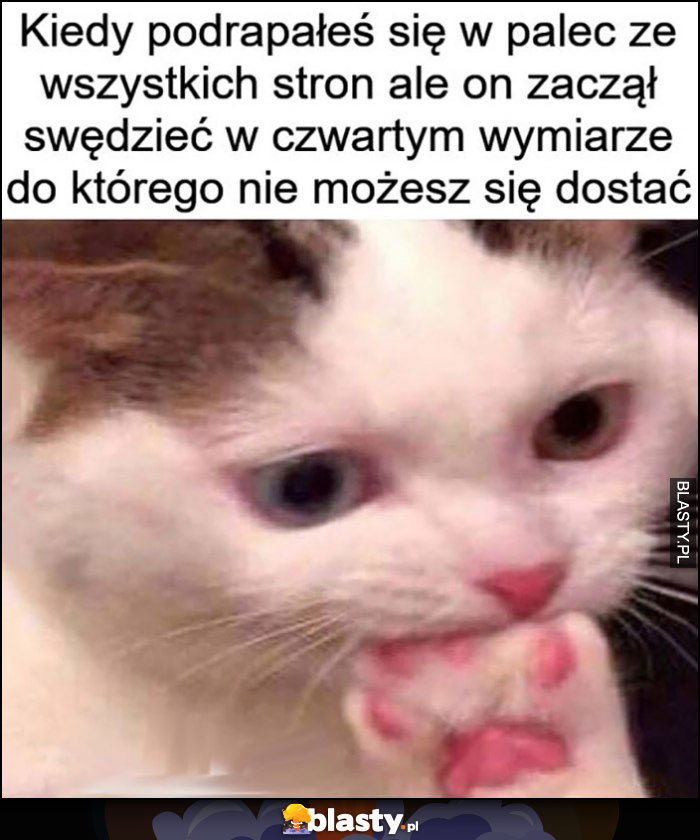 Kot kiedy podrapałeś się w palec ze wszystkich stron ale on zaczał swędzieć w czwartym wymiarze do którego nie możesz się dostać gryzie łapę