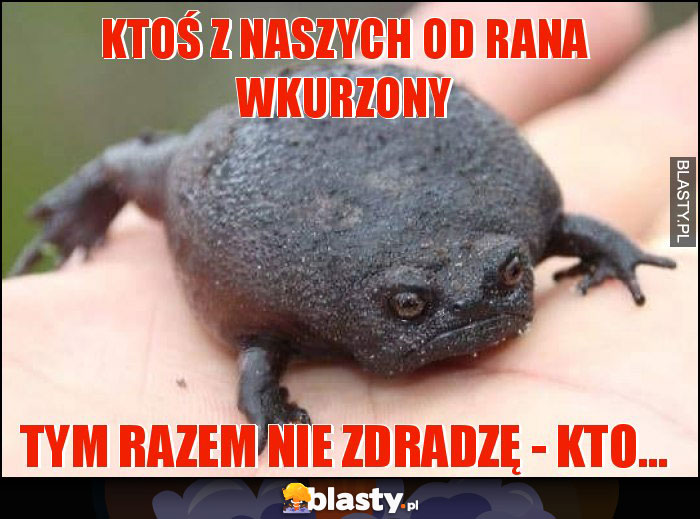 Ktoś z naszych od rana wkurzony Ktoś z naszych od rana wkurzony