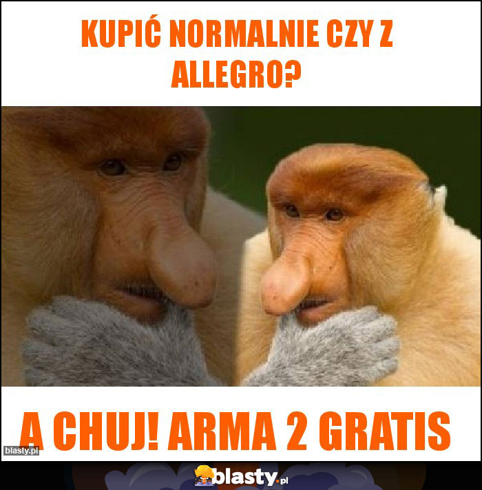 KUPIĆ normalnie czy z allegro?