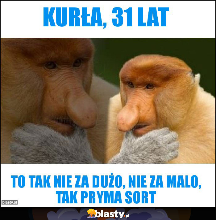 KURŁA, 31 LAT