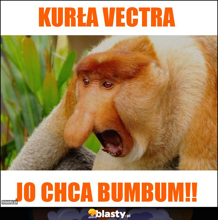 KURŁA VECTRA KURŁA VECTRA