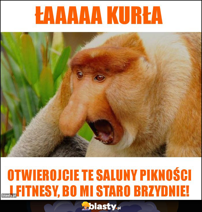 Łaaaaa kurła Łaaaaa kurła