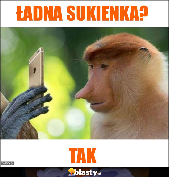 Ładna sukienka? Ładna sukienka?