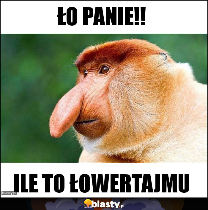 ŁO Panie!! ŁO Panie!!