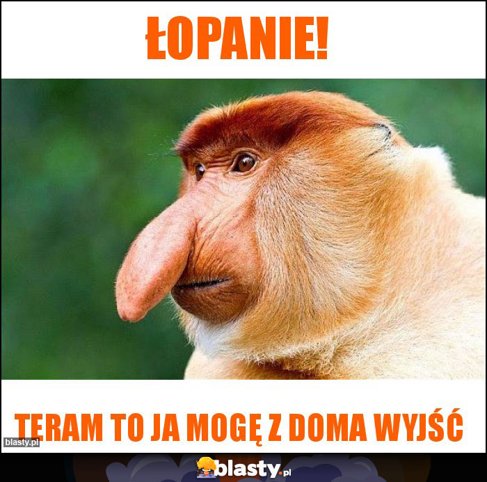 Łopanie!