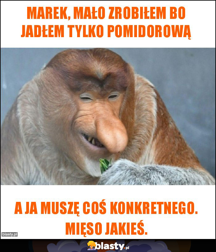 Marek, mało zrobiłem bo jadłem tylko pomidorową Marek, mało zrobiłem bo jadłem tylko pomidorową