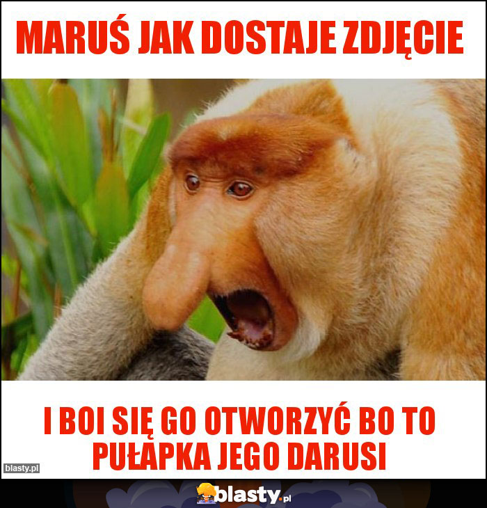 Maruś jak dostaje zdjęcie Maruś jak dostaje zdjęcie