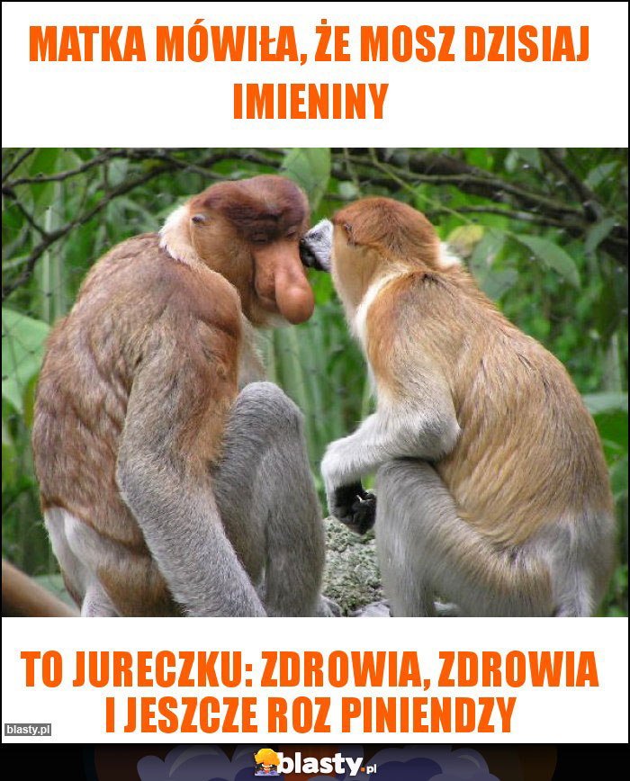 Matka mówiła, że mosz dzisiaj imieniny Matka mówiła, że mosz dzisiaj imieniny