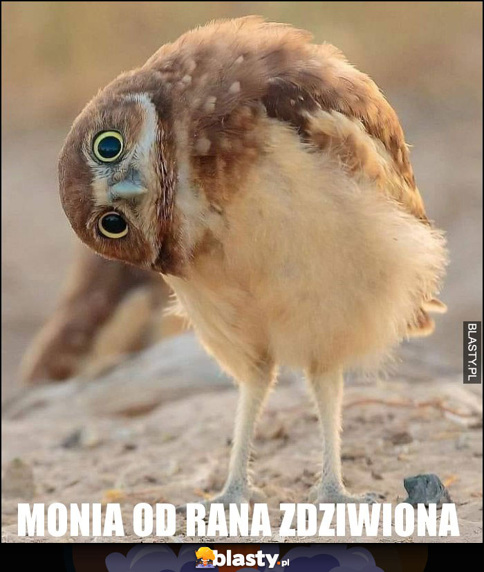 Monia od rana zdziwiona Monia od rana zdziwiona