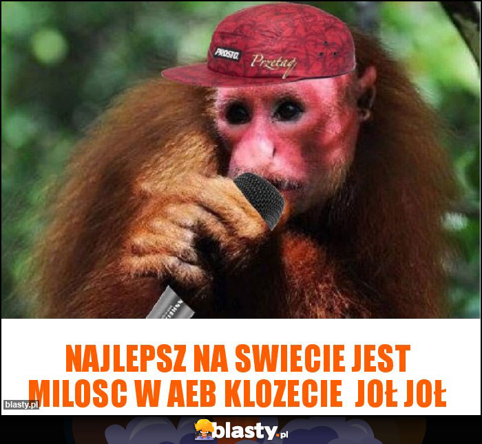 NAJLEPSZ NA SWIECIE JEST MILOSC W AEB KLOZECIE JOŁ JOŁ NAJLEPSZ NA SWIECIE JEST MILOSC W AEB KLOZECIE JOŁ JOŁ
