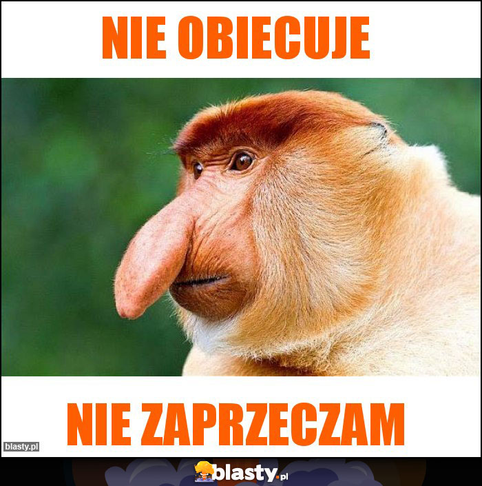 Nie obiecuje