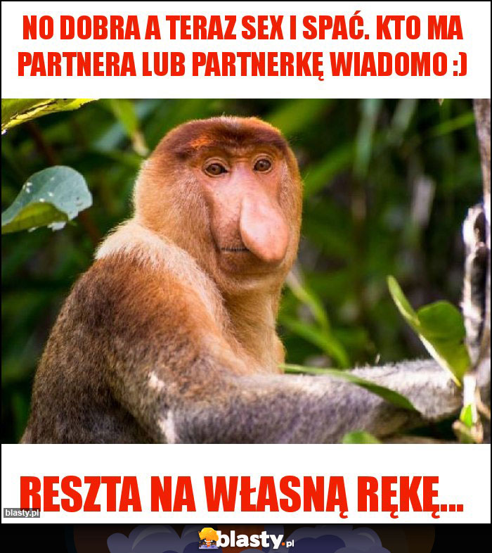 No dobra a teraz sex i spać. Kto ma partnera lub partnerkę wiadomo :)