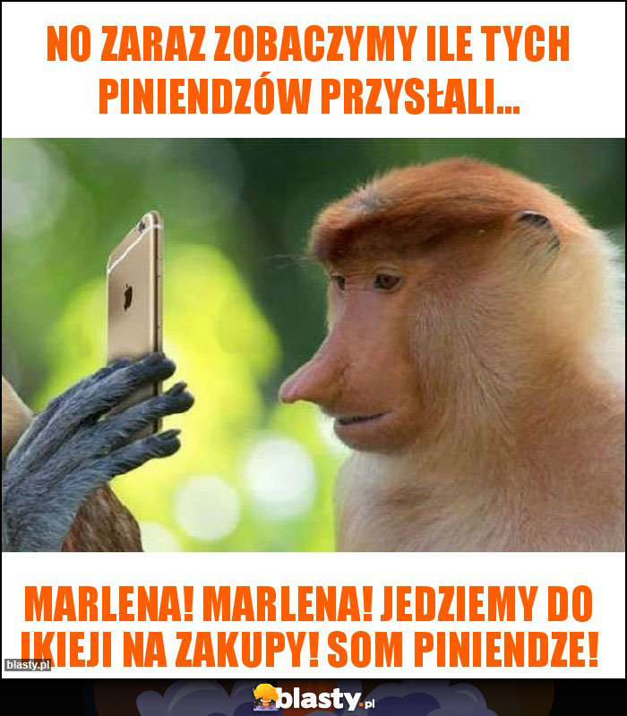 no zaraz zobaczymy ile tych piniendzów przysłali... no zaraz zobaczymy ile tych piniendzów przysłali...