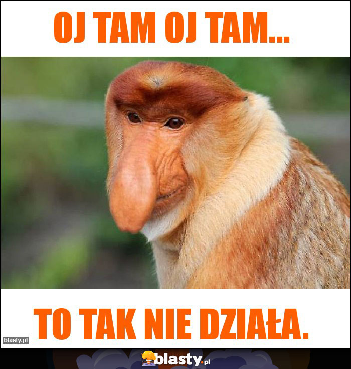 Oj tam oj tam... Oj tam oj tam...