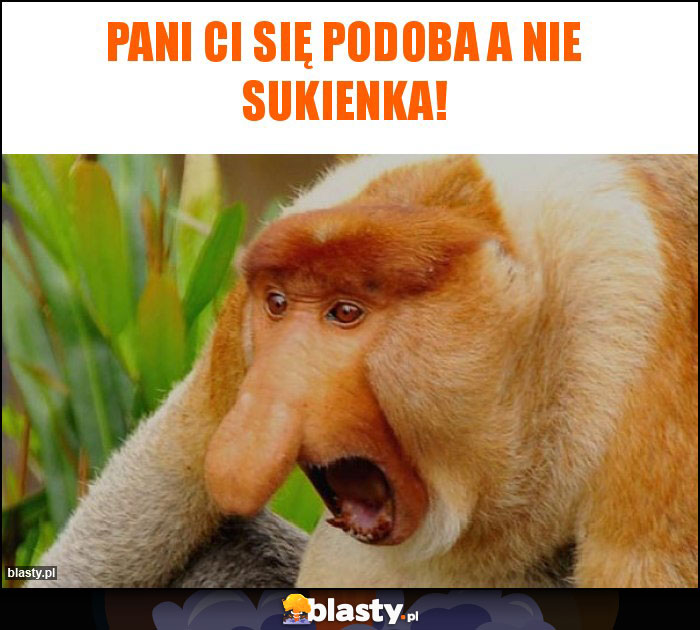 Pani ci się podoba a nie sukienka! Pani ci się podoba a nie sukienka!