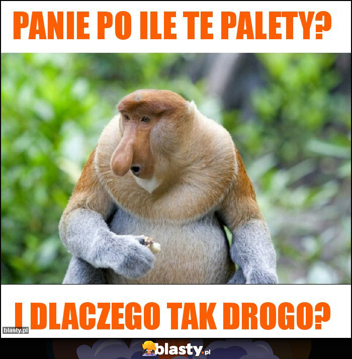 Panie po ile te palety?