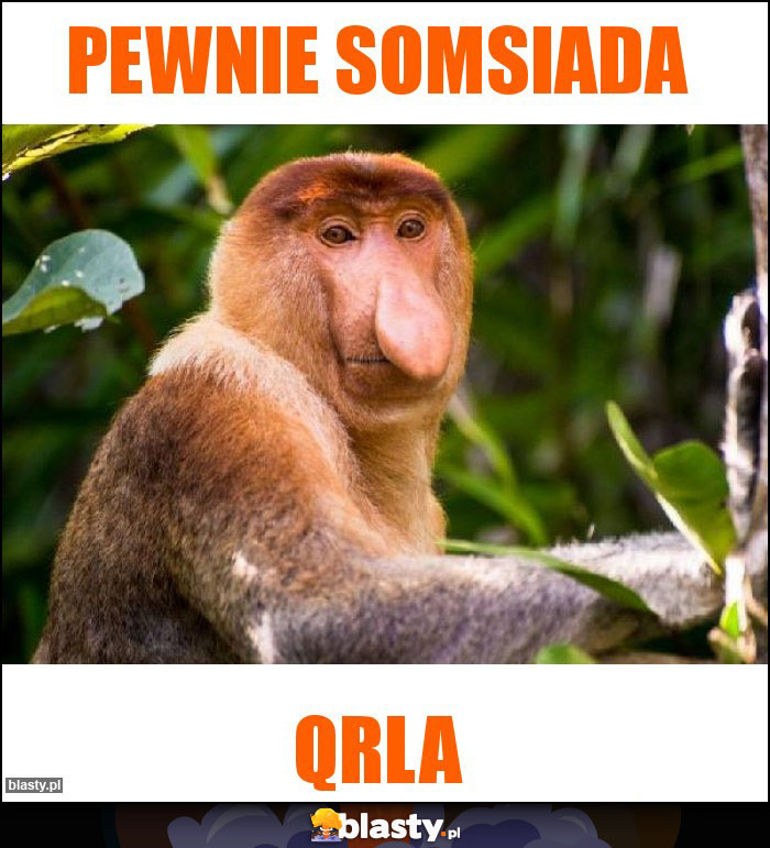 Pewnie somsiada Pewnie somsiada