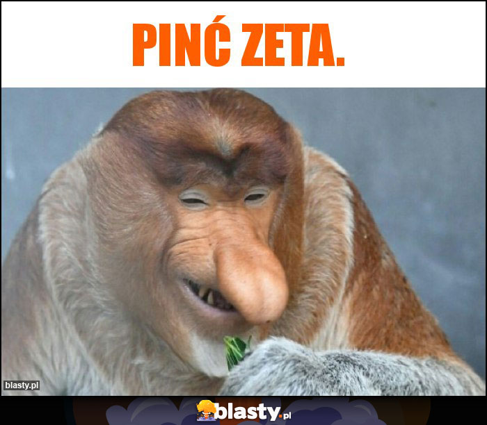 Pinć zeta. Pinć zeta.